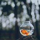 My project in Logo Design: From Concept to Presentation course . % Cousin Marlene tarafından hazırlanan Reklamcılık, Ve Grafik Tasarım projesi - 01.13.2021