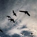 Mi Proyecto del curso: Fotografía y composición para Instagram. Projekt z dziedziny  Kompoz i cja w fotografii użytkownika Ligia Contreras - 08.01.2021