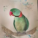 Le perroquet vert. Un progetto di Pittura ad acquerello di Amé - 03.12.2021