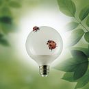 Meu projeto do curso: Fotografia de objetos brilhantes e esquemas de iluminação Ein Projekt aus dem Bereich Werbefotografie von Walcyr Mattoso - 15.01.2021