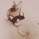 Mandame a tu gato. Ilustração tradicional projeto de Victoria Vanni - 11.01.2021