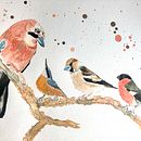 My project in Artistic Watercolor Techniques for Illustrating Birds course Ein Projekt aus dem Bereich Aquarellmalerei von schmittlin_delphine - 13.01.2021