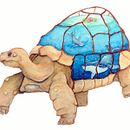 Fern Axelson/StriderCreations project in Watercolor Techniques for Dreamlike Illustrations course . Ilustrasi tradisional, Dan Lukisan Cat Air proyek oleh Fern Strider - 01.14.2021