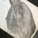 Eagle. Un projet de Dessin au cra , et on de alemacieltiburcio - 14.01.2021