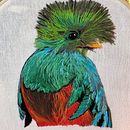 Mi Proyecto del curso: Pintar con hilo: técnicas de ilustración textil. Un proyecto de Artesanía, Bordado y Creatividad de Gabriela Blanco - 14.01.2021