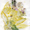 Mi Proyecto del curso: Impresión botánica en textil y papel . % Camilo Gutierrez tarafından hazırlanan Sanat ve El Sanatları, Moda Tasarımı, Kendin Yap, Tekstil Bo, ama, Tekstil Baskısı, Ve Tekstil Tasarımı projesi - 01.15.2021