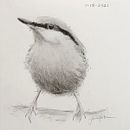 My project in Artistic Watercolor Techniques for Illustrating Birds course . % Jan Helton tarafından hazırlanan Çizim, Sulubo, Ve a Resim projesi - 01.20.2021
