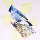 My project in Artistic Watercolor Techniques for Illustrating Birds course. Un proyecto de Pintura a la acuarela de Hayden Oliver - 16.01.2021