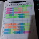 Año vista, bullet journal y bocetos. Un proyecto de Sketchbook de Montserrat Ruiz - 19.01.2021
