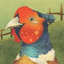 My project in Book Cover Illustration: Unraveling the Essence of a Story course Ein Projekt aus dem Bereich Digitale Illustration von nurana_tahirova - 16.01.2021