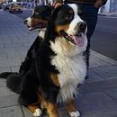 Mi Proyecto del curso: Fotografía profesional: gestiona tu carrera como freelance. Un proyecto de Fotografía de Arturo Ramírez - 08.02.2021