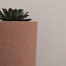 Maceta de concreto decorativa  . Arte și meșteșuguri, Creativitate și Decorațiuni de palomaquiroz14 - 01.19.2021