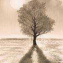 Um lugar que só nós conhecemos.... Desenho digital projeto de Leonardo Cavalcante - 19.01.2021