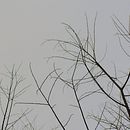 Mi Proyecto [ausencia-presencia]: fotografía narrativa . Fotografia, e Fotografia artística projeto de Christine Cavi - 19.01.2021