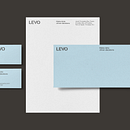 Levo Analytics. 2D Animation, Br, ing, Identit, and Editorial Design project by Plácida - 01.19.2021