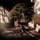 Mi Proyecto del curso: Secretos del fotomontaje y el retoque creativo Ein Projekt aus dem Bereich Fotomontage von Marcelo Trinidad Bailon - 19.01.2021