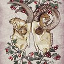 Irreconcilable differences. Un progetto di Illustrazione tradizionale e Illustrazione botanica di Chema G. Baena Art - 20.01.2021