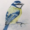 My project in Naturalist Bird Illustration with Watercolors course. Desenho, e Pintura em aquarela projeto de Toma - 22.01.2021