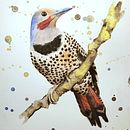 My project in Artistic Watercolor Techniques for Illustrating Birds course. Een project van Aquarelschilderen van Anjelica Brunn - 16.02.2021