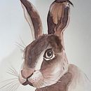 Mi Proyecto del curso: Técnicas experimentales de acuarela para principiantes  Ein Projekt aus dem Bereich Illustration mit Tinte von Tatiana Jimenez - 25.01.2021