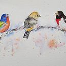 My project in Artistic Watercolor Techniques for Illustrating Birds course Ein Projekt aus dem Bereich Aquarellmalerei von Deb Schonberg - 25.01.2021