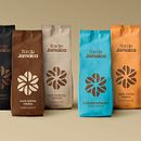 Flor de Jamaica. Design project by bbrand - 01.26.2021