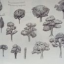 Mi Proyecto: Curso dibujo para principiantes. Pencil Drawing, and Artistic Drawing project by Katalina Moskowictz - 01.26.2021