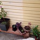 Maceteros y mesas para decorar. Un proyecto de Paisajismo de Romiina Zepeda Paulo - 26.01.2021