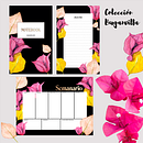 Mi Proyecto del curso: Colección Buganvilla . % Alexandra Vera Coronel tarafından hazırlanan Çizim, Geleneksel illüstras, on, Botanik İllüstras, on, Sulubo, Ve a Resim projesi - 01.27.2021