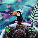 Coleção Fauna e Flora Brasileira. Creating with Kids project by Vinícius Ferreira - 10.01.2019