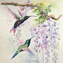 My Final Artistic Watercolor Techniques for Illustrating Birds Project. Un projet de Illustration botanique, Illustration naturaliste , et Aquarelle de Tenley Raithel - 27.01.2021