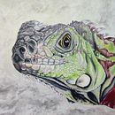 Dibujo de iguana realista. Un progetto di Animazione, Animazione 2D, Arte concettuale, Creatività, Disegno di ritratti e Disegno digitale di Mónica Alexandra Ángeles Chávez - 29.01.2021
