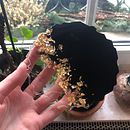 The beginning of my resin voyage Ein Projekt aus dem Bereich Erweiterungsentwicklung, H und werk von sara_ruggeri3 - 31.01.2021