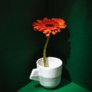 Temple. Un projet de Artisanat, Beaux Arts, Céramique, Photographie , et Photographie de produits de Valentina Betancor - 01.02.2021