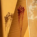 Vidriada. Un projet de Artisanat, Design , Design de bijoux, Photographie , et Photographie de produits de Valentina Betancor - 01.02.2021