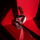 RED -  Proyecto personal. Un projet de Beaux Arts, Direction artistique, Design , Photographie, Photographie de mode , et Photographie de produits de Valentina Betancor - 01.02.2021