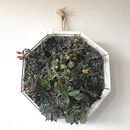 Mi Proyecto del curso: Diseño y creación de composiciones botánicas Ein Projekt aus dem Bereich Dekoration von Innenräumen von Monica Barbosa - 01.02.2021
