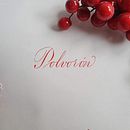 2020. Un projet de Calligraphie de Sandra Almela - 01.01.2020