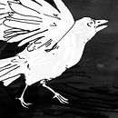 Crow's Fall . % Roisin tarafından hazırlanan Geleneksel illüstras, Ve on projesi - 02.02.2021