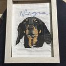 Mi Proyecto del curso: Needle painting para principiantes . % Emily Sanchez tarafından hazırlanan Nakış, Doğalcı İllüstras, Ve on projesi - 02.03.2021