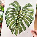Mi Proyecto del curso: Acuarela botánica para estampados. Un proyecto de Ilustración botánica y Pintura a la acuarela de María Fernández - 03.02.2021