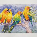 Sun Conure Soiree. Un projet de Peinture de Milada Theron - 04.02.2021