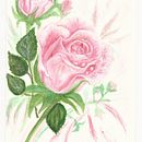 COMPOSICION BOTANICA. Realistic Drawing project by Lucrecia Olive - 02.05.2021