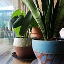 Lo único que dibuje en 2020 - las casas donde vivi. Een project van  Tekening van Laura López Oliveto - 18.02.2021