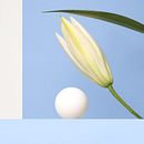Plastic Surgery Website. Un proyecto de Br, ing e Identidad, Diseño Web y UX / UI de Silvia Ferpal - 07.02.2021