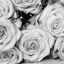 Mi Proyecto del curso: Introducción a la fotografía digital. Photograph, and Digital Photograph project by Geraldine Bodden - 02.18.2021