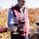 Bodegas Esteban Martín. Un proyecto de Br, ing e Identidad, Comunicación, Dirección de arte y Diseño Web de Buri ® - 08.02.2021