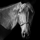 Mi Proyecto del curso: Introducción al storytelling personal. Un progetto di Marketing digitale di Euge Friedlmeier - 12.04.2021