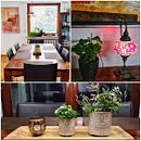 De Navidad a Primavera: cambio de estación en el living y el comedor. Decoração de interiores projeto de Claudia Peisert - 10.02.2021