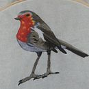 My project in Painting with Thread: Textile Illustration Techniques course . % Ariane Desi tarafından hazırlanan Nakış projesi - 02.13.2021